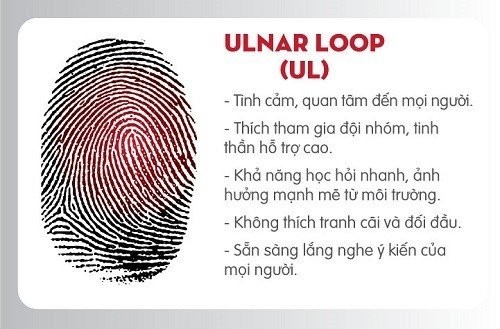 Đặc điểm chung của người có chủng vân tay ULNAR LOOP